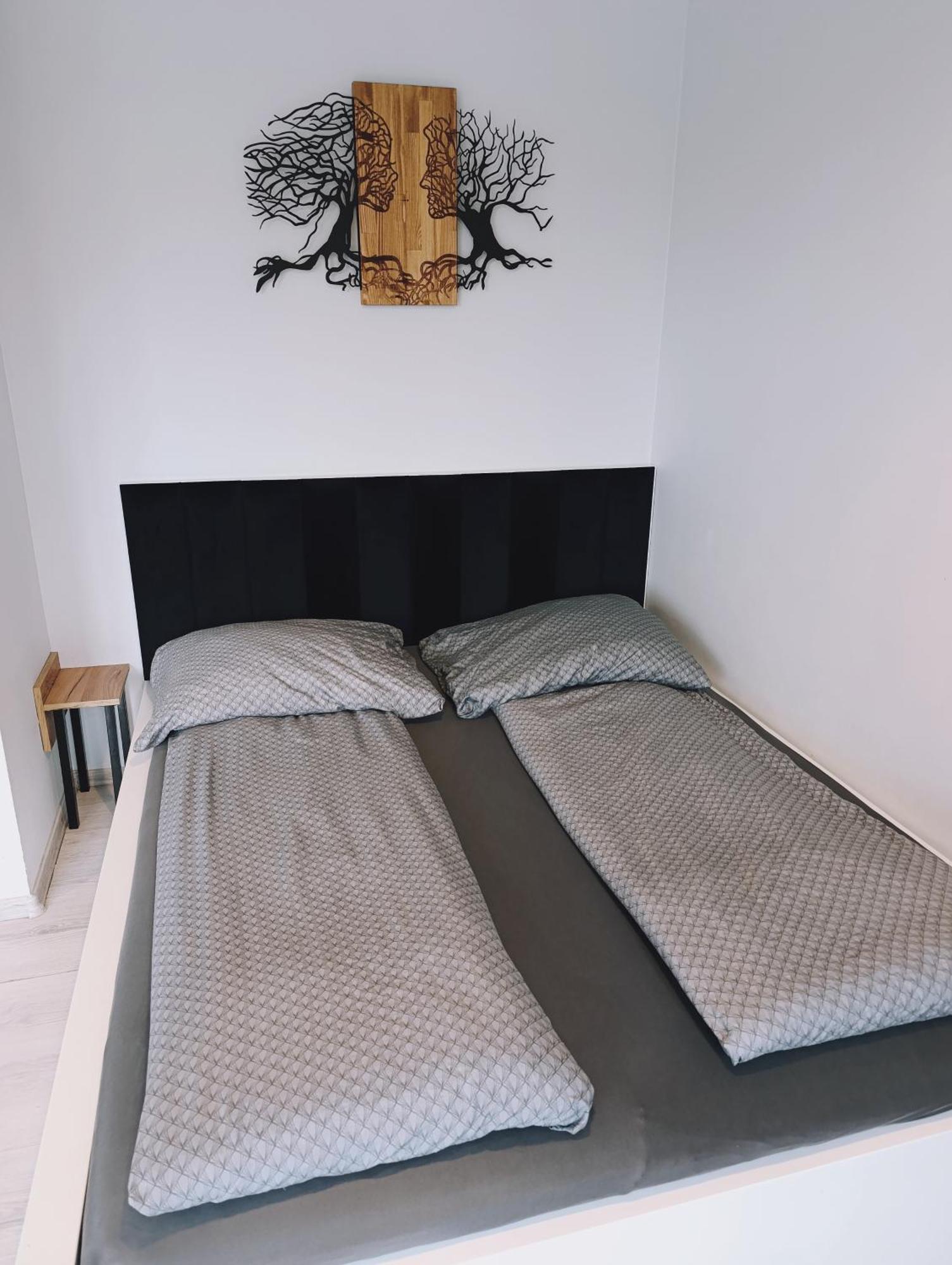 שצ'צ'ין Apartament D2 מראה חיצוני תמונה